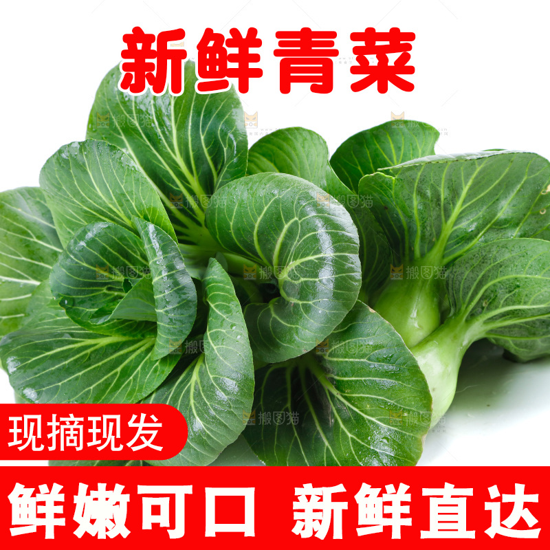 白底上放着上海青