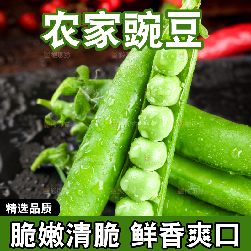 黑底上的青豌豆