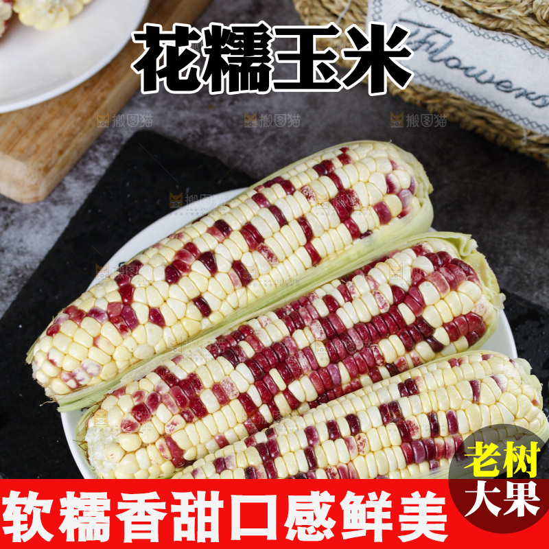 石板上放着一盘香糯玉米