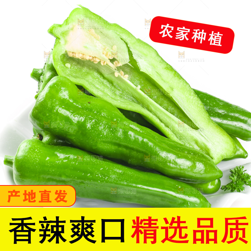 盘子里的薄皮青椒