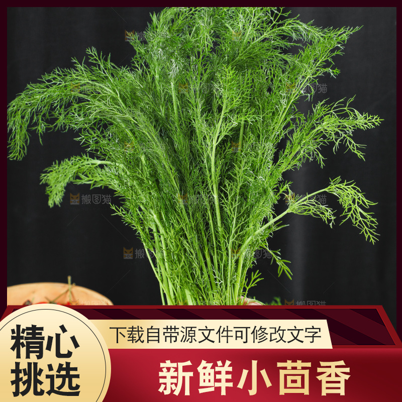 手里拿着小茴香