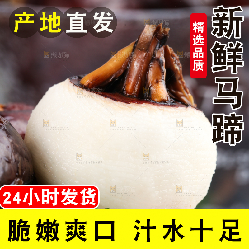 彩底上的马蹄果