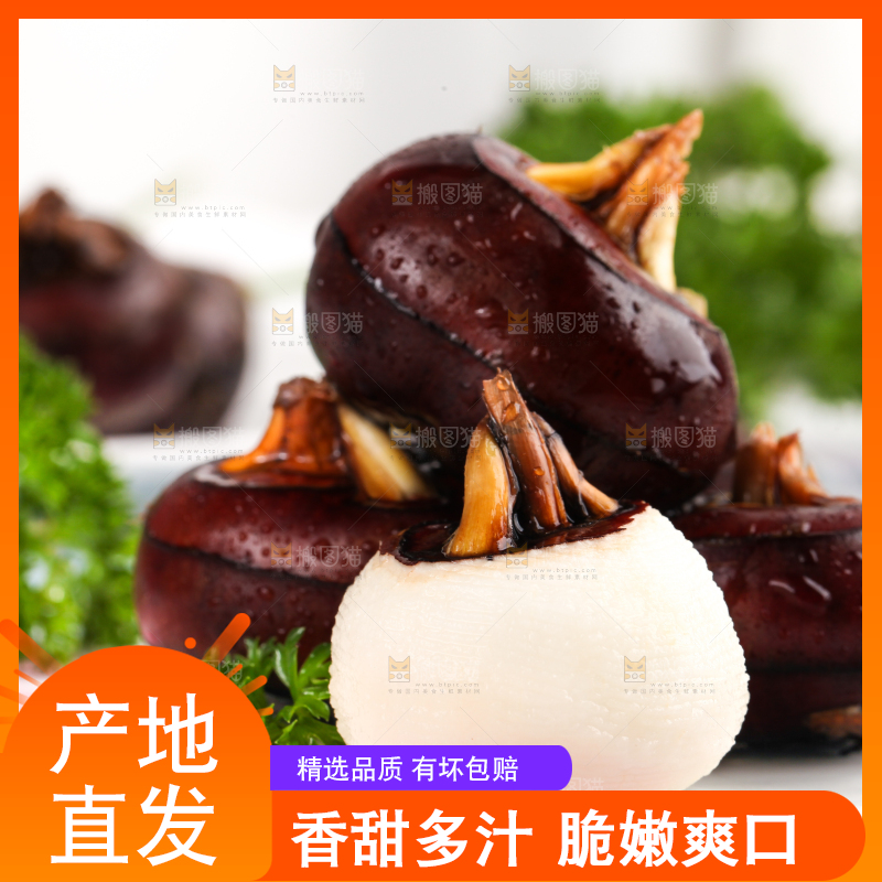 彩底上放着红马蹄
