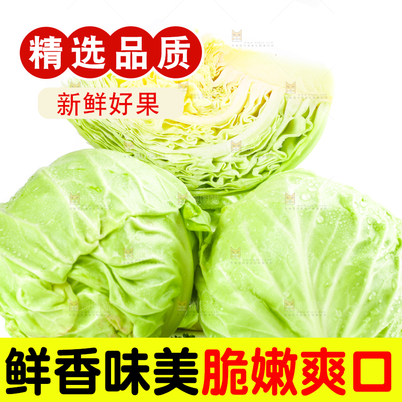 白底上摆放着包菜