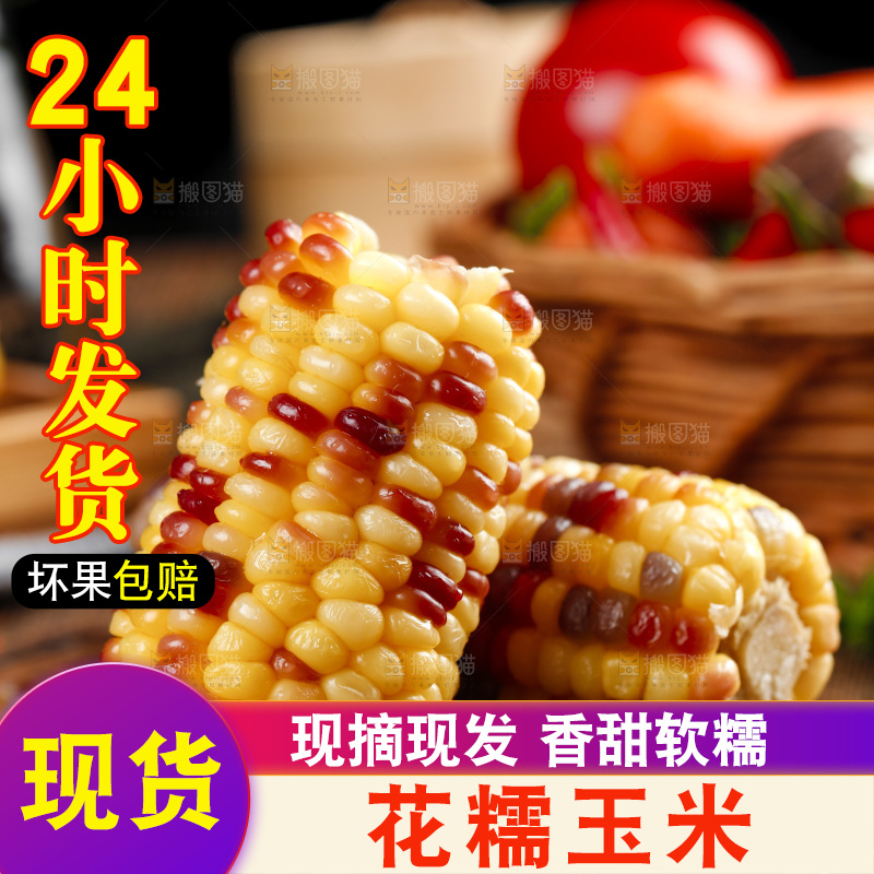 木底上的湖北花糯玉米