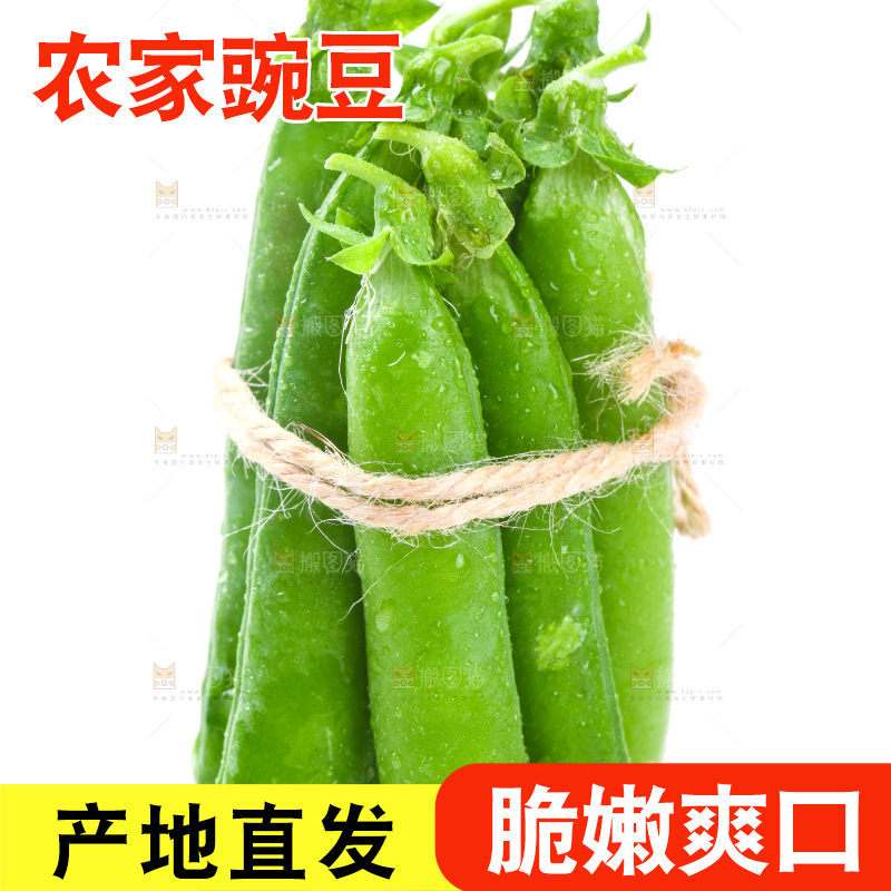 白底上放着一捆新鲜豌豆