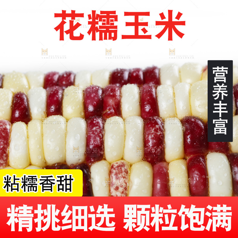 剥皮的花糯玉米放在白底上