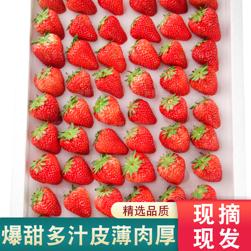 箱子里的奶油草莓