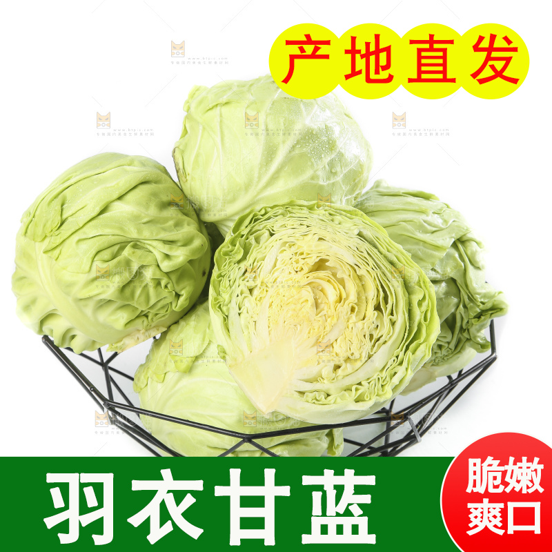 白底上摆放着包菜
