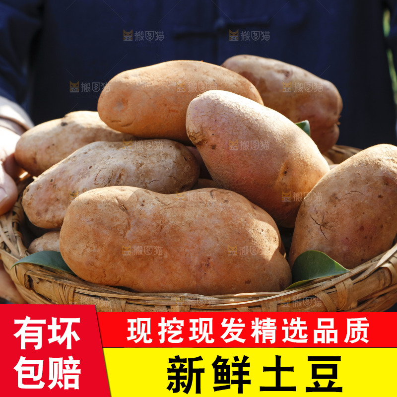 篮子里装着云南红心土豆