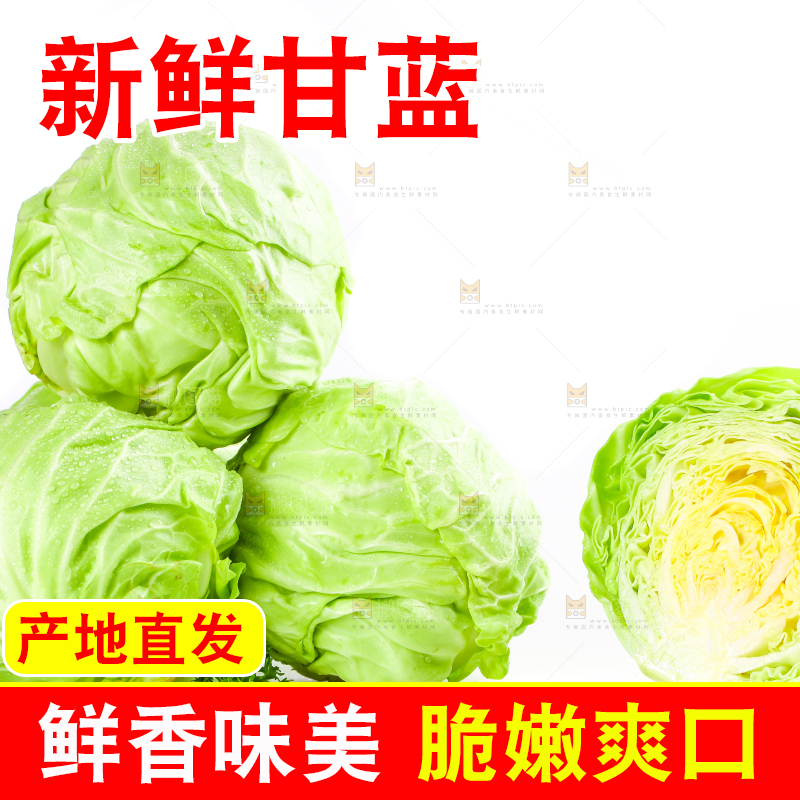 白底上摆放着包菜