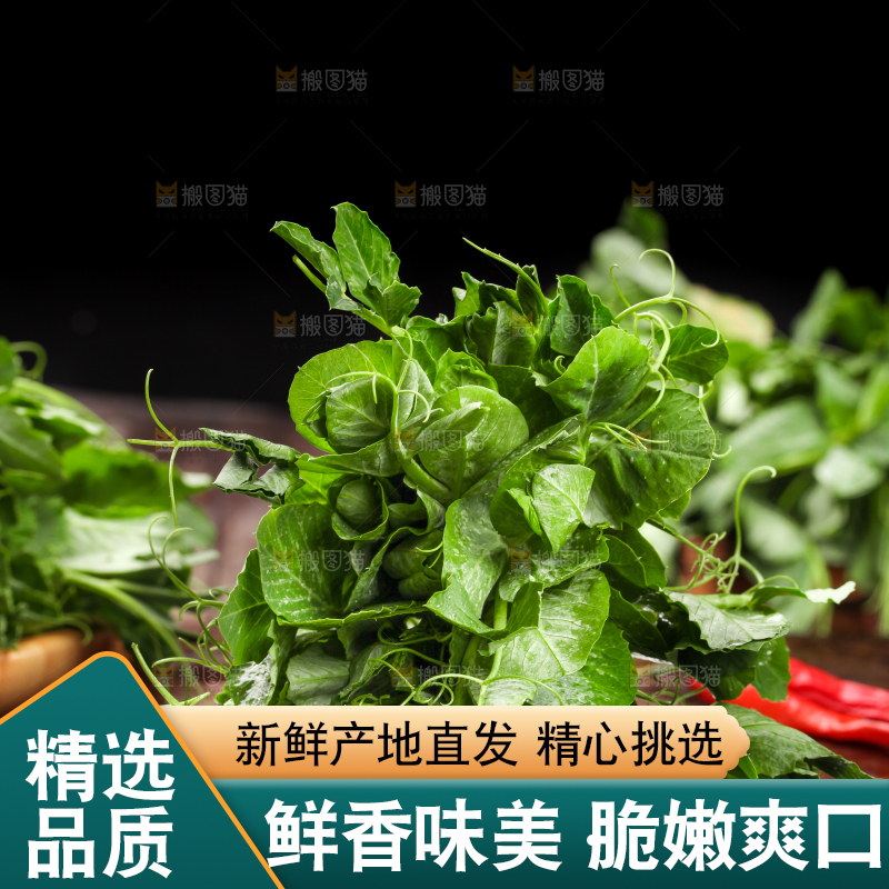 深底上的四川豌豆尖