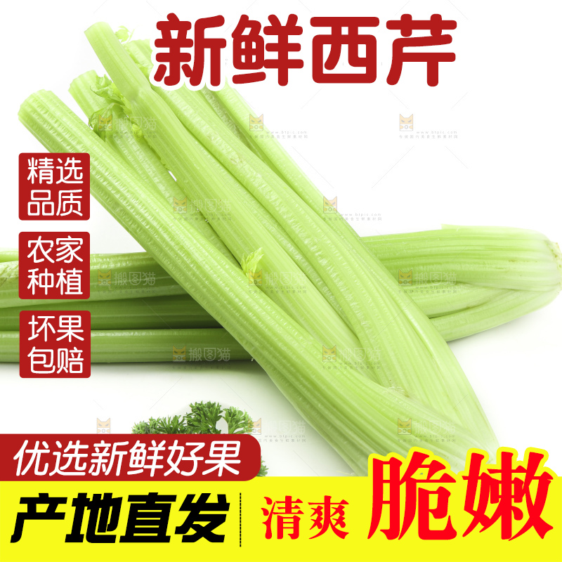 白底上的山东西芹