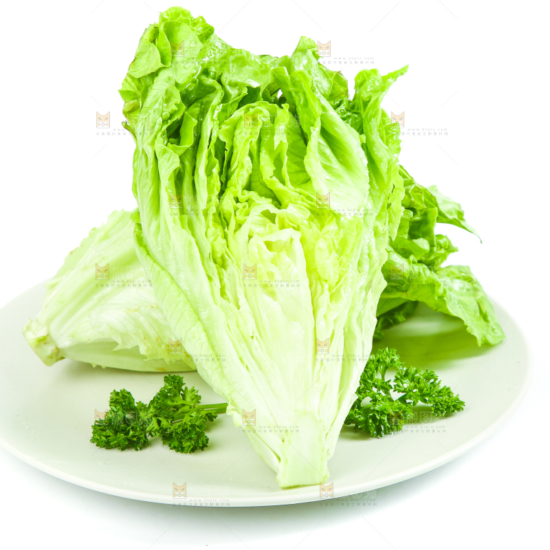 盘子里装着大叶生菜