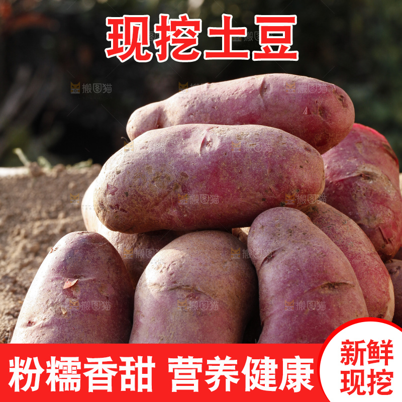 土地上放着红心土豆