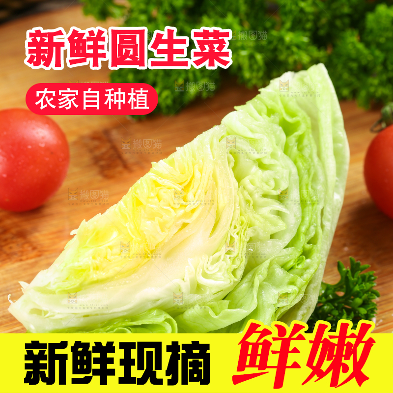 深底上的圆形生菜