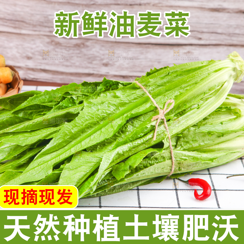 白格子底上放着新鲜油麦菜