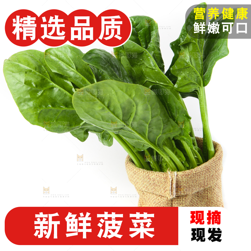篮子里的红根菠菜