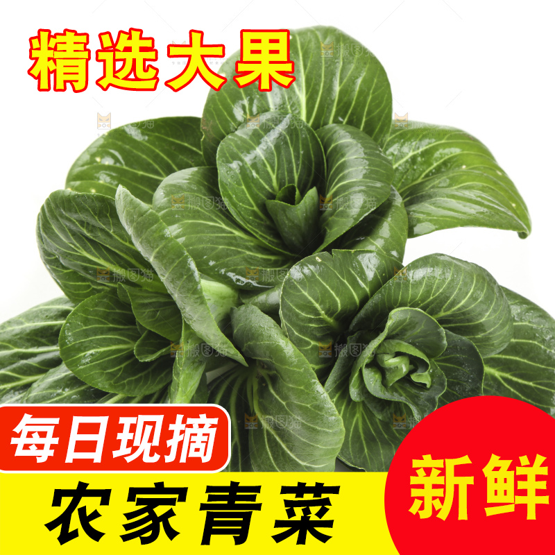 白底上放着上海青
