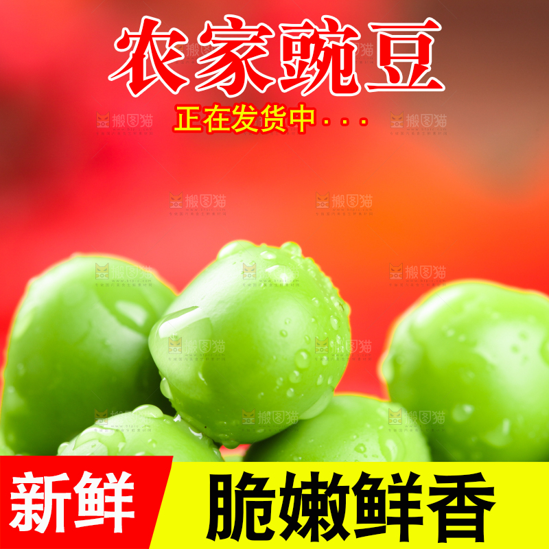 浅底上的新鲜豌豆粒