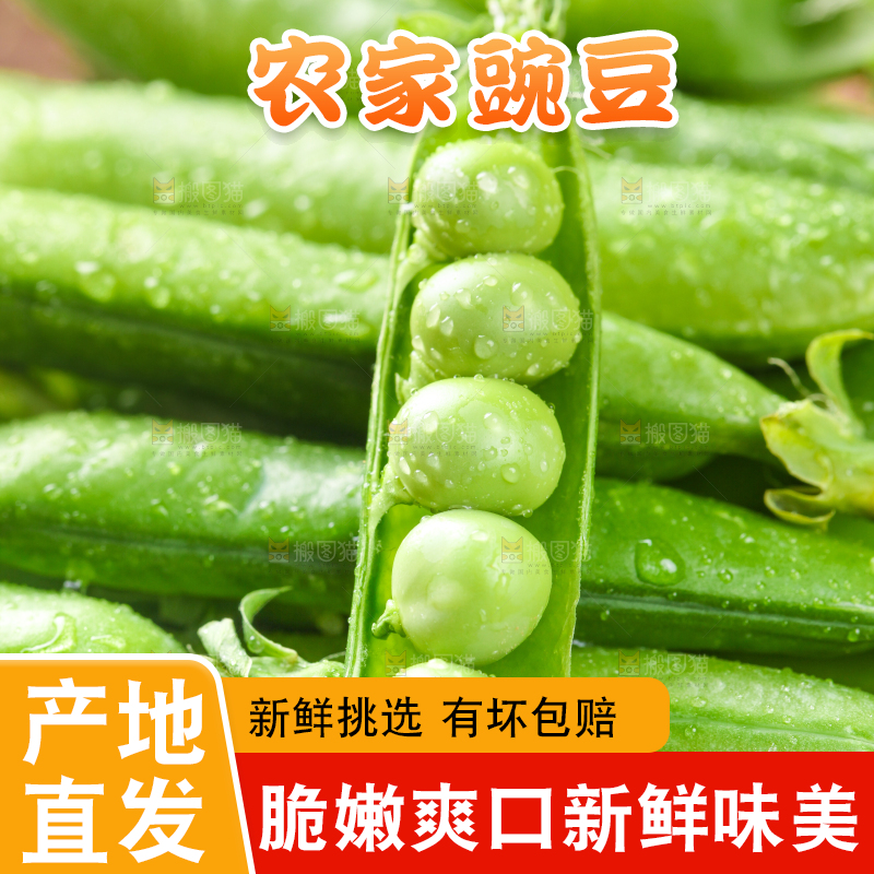 木底上的云南豌豆