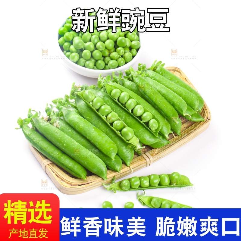 一盘新鲜豌豆放在白底上