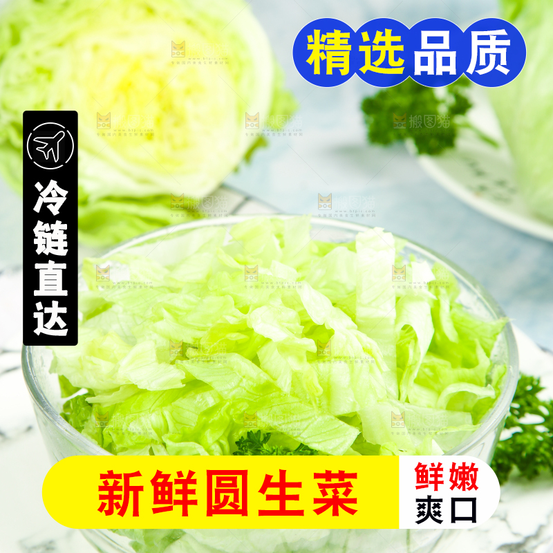 盘子里装着球生菜
