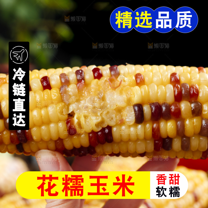 手拿熟糯玉米