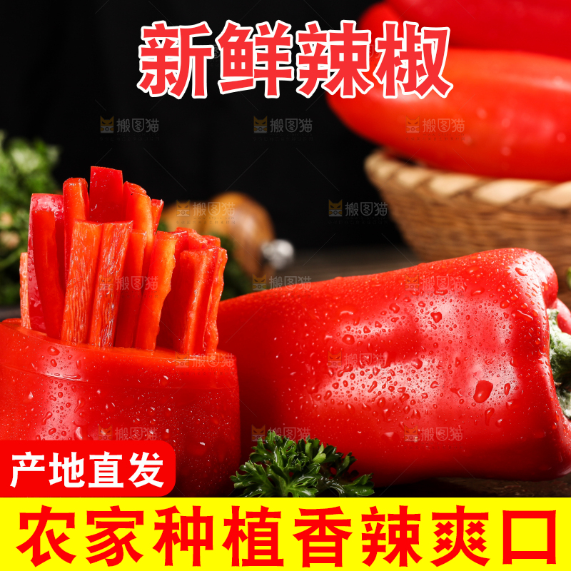 石板上的山东红辣椒