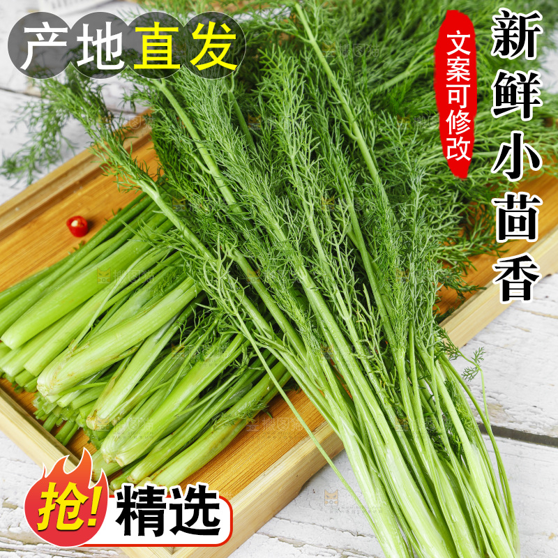 盘子里的云南小茴香菜