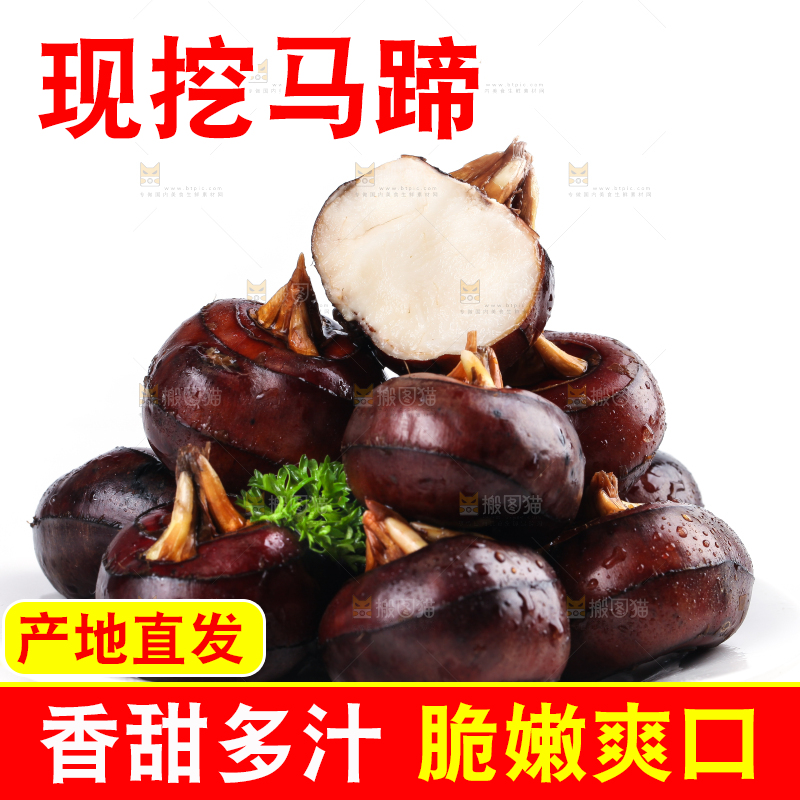 白底上摆放着乐昌北乡马蹄