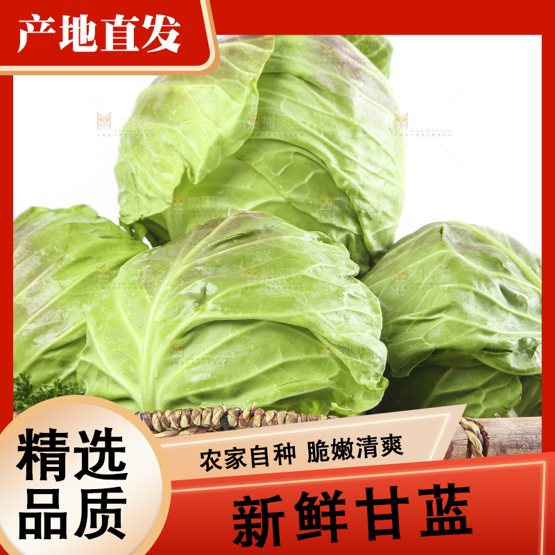 篮子里装着洋白菜