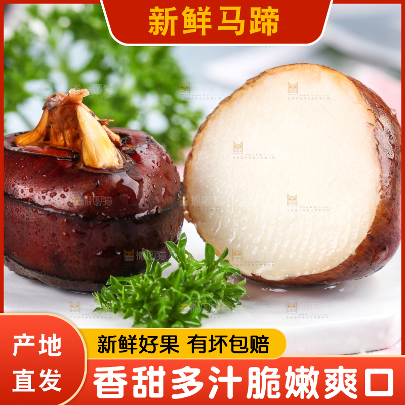 彩底上放着红马蹄