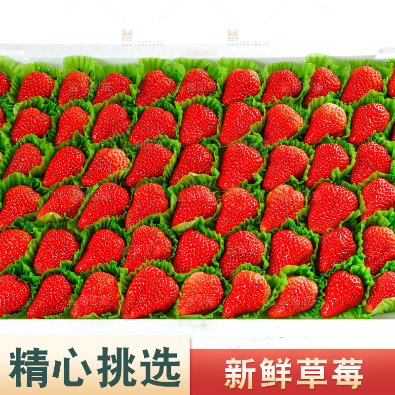 箱子里的新鲜草莓