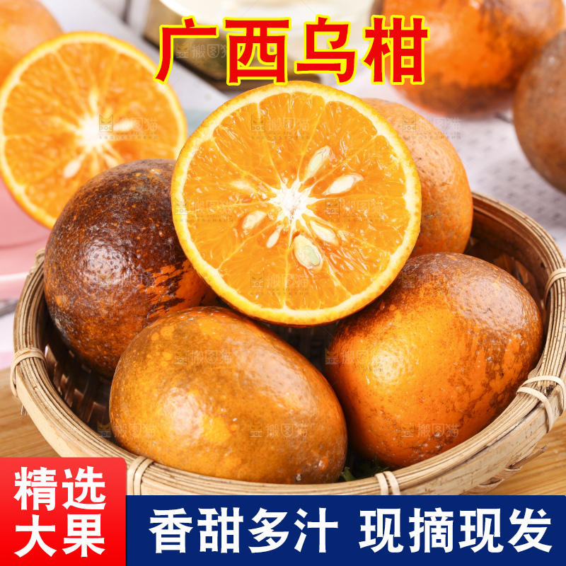 篮子里装着乌柑