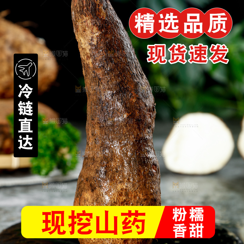 黑底上的金秤砣山药