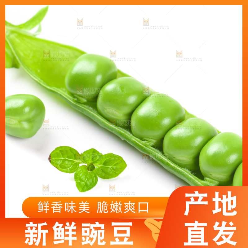 剥开的新鲜豌豆放在白底上