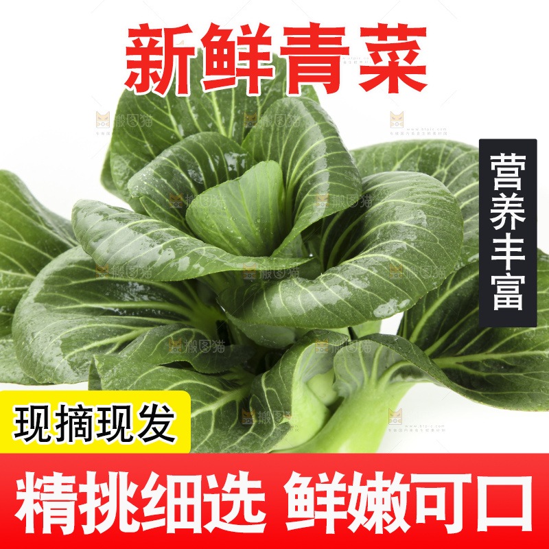 白底上放着上海青