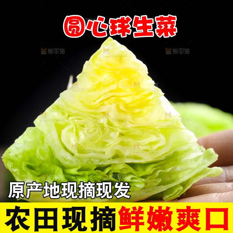 深底上的圆形生菜