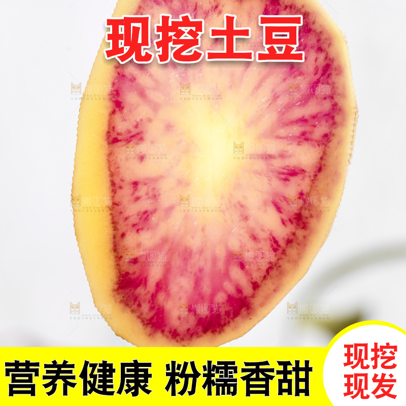 手里拿着彩色土豆