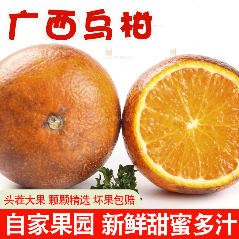 白底上放着新鲜乌柑