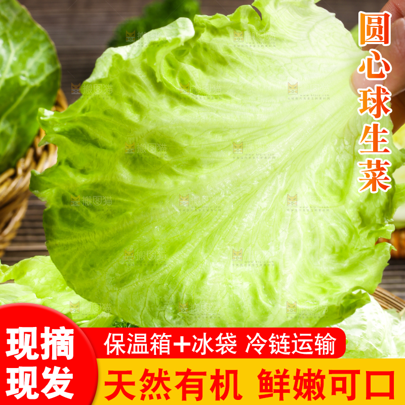 深底上的圆形生菜