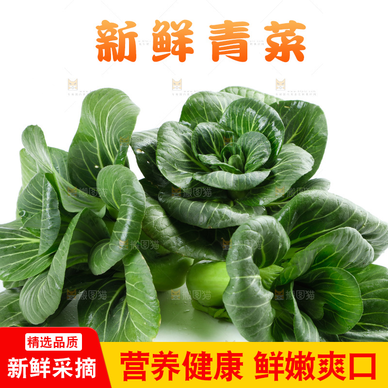 白底上放着上海青