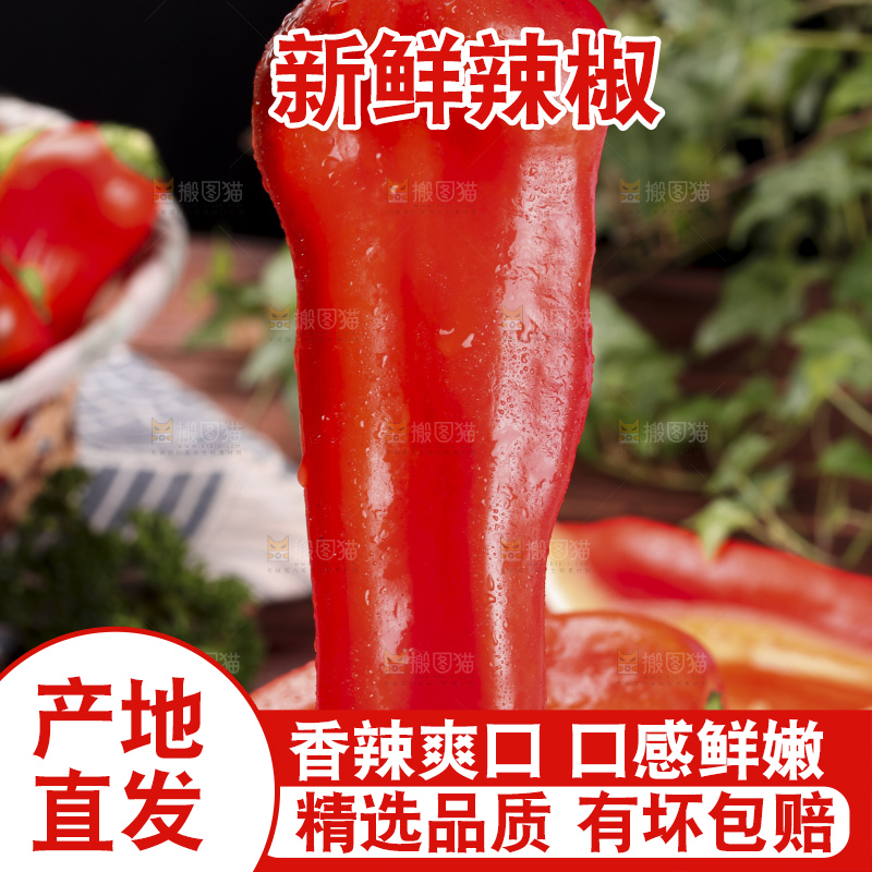手里拿着新鲜红辣椒
