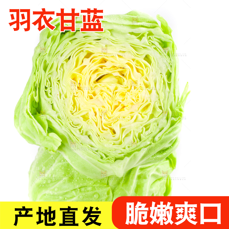 白底上摆放着包菜