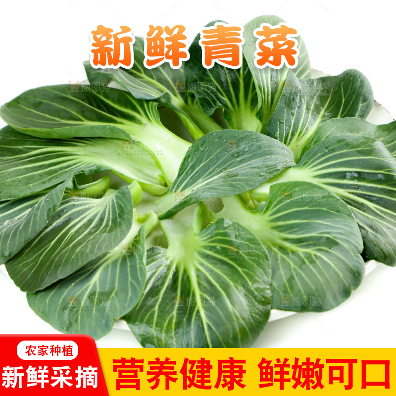 白底上的绿叶菜
