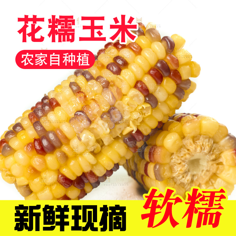 白底上放着切开的熟香糯玉米