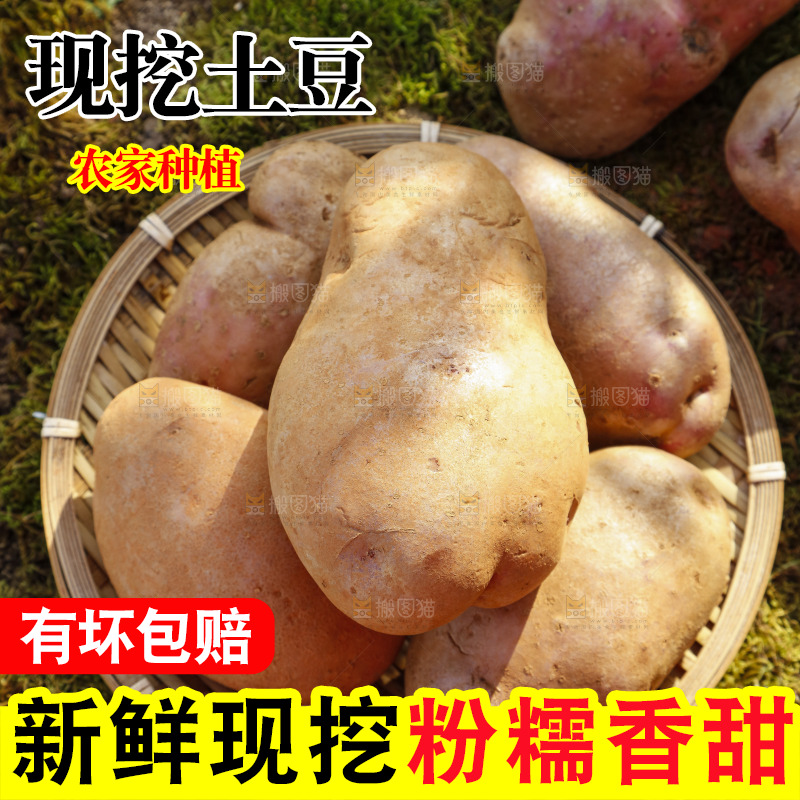 篮子里装着云南红心土豆