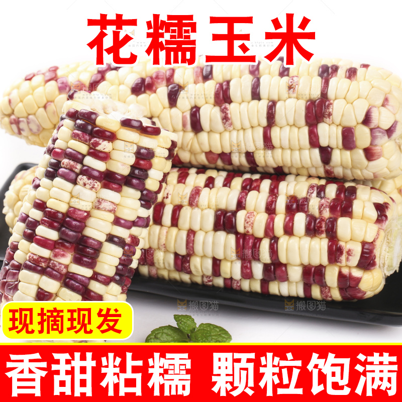 白底上放着一盘花糯玉米
