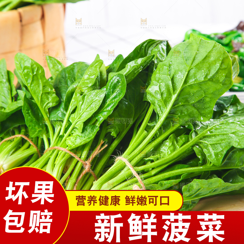 白格子底上的嫩菠菜